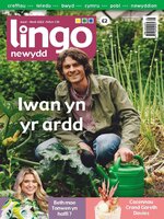 Lingo Newydd